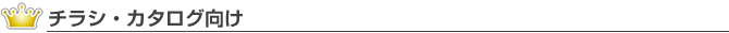 チラシ・カタログ向け
